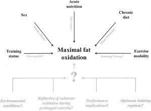 Fat Oxidation diagram showing how fat is burned when using Lipotropic Injections for Weight Loss 