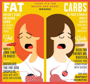 Depiction of fat vs carbs and how lipotropic injections for weight loss help with dieting. 