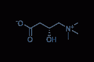L-Carnitine molecule photo. 